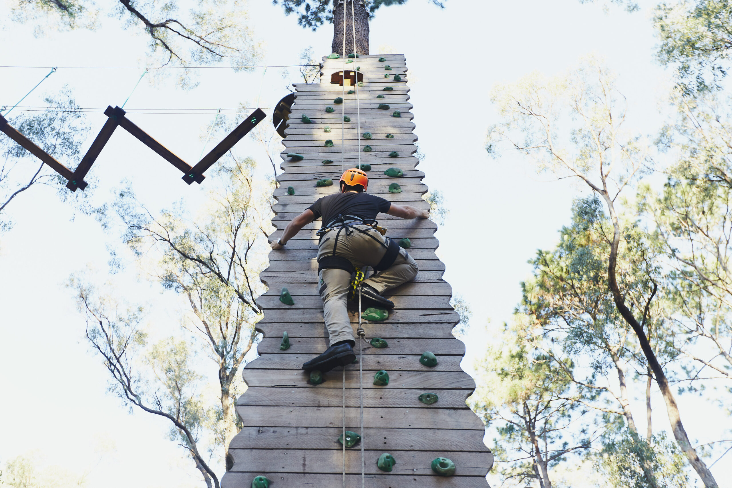 Forest Adventures Park Entry - 2 Hours