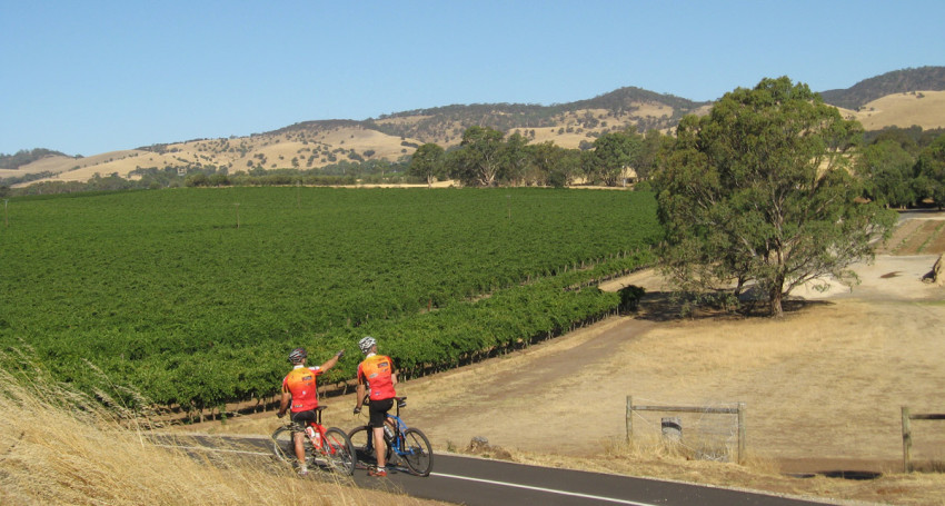 Tour de South Australia Vineyards – Guided Small Group 6N/8D