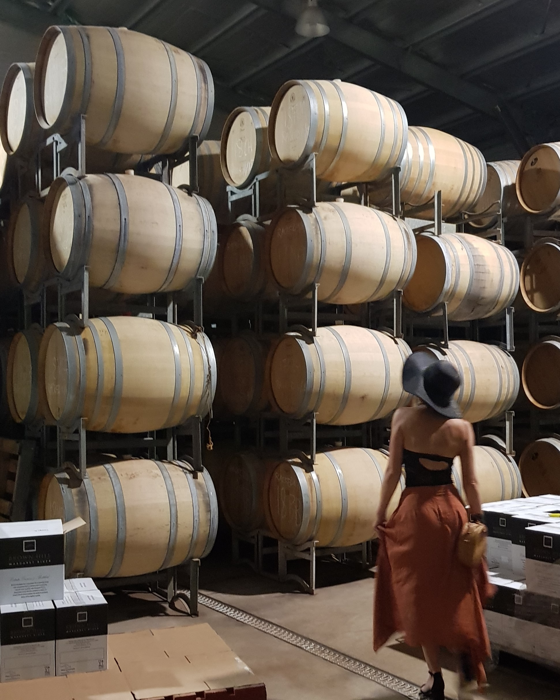 5 Hour Half Day Tour: Coffee & Olive Tastings, Wineries, Forest & Lunch