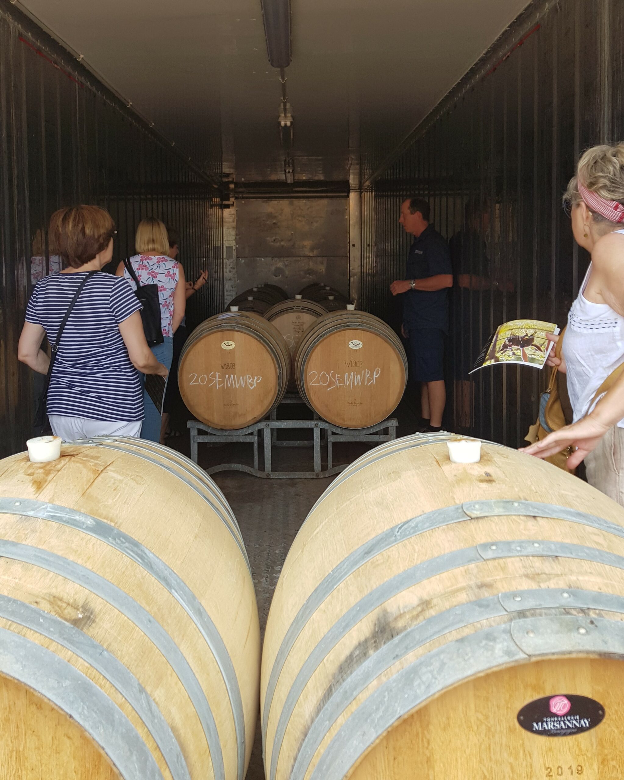 7 Hour Full Day Tour: Morning Tea, Chocolate & Olive Tastings, 3 Wineries & Lunch