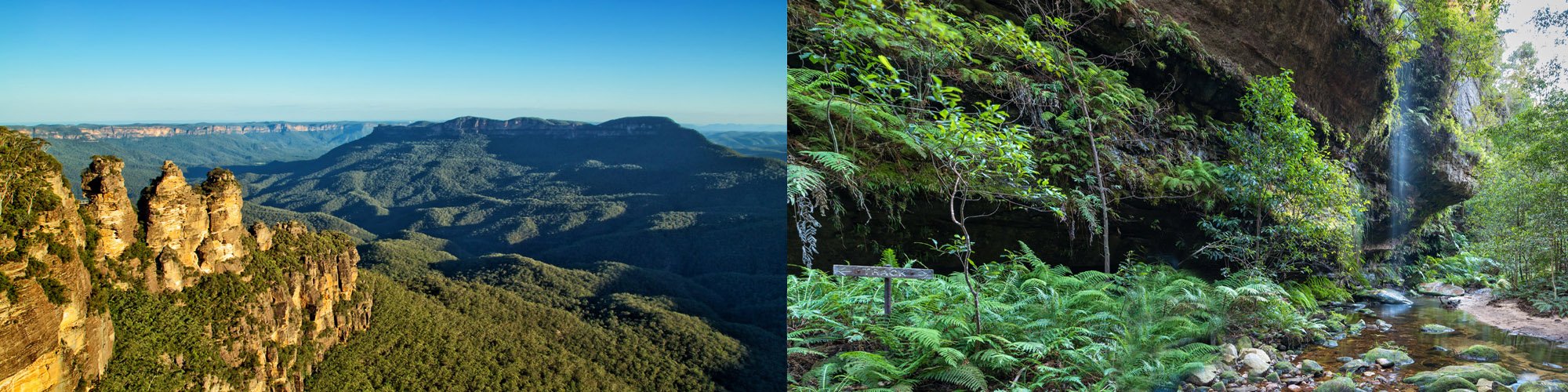 The Great Blue Mountains Traverse walk