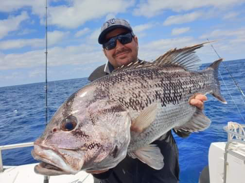 Half Day Fishing Charter Onboard Fortitude - Geraldton