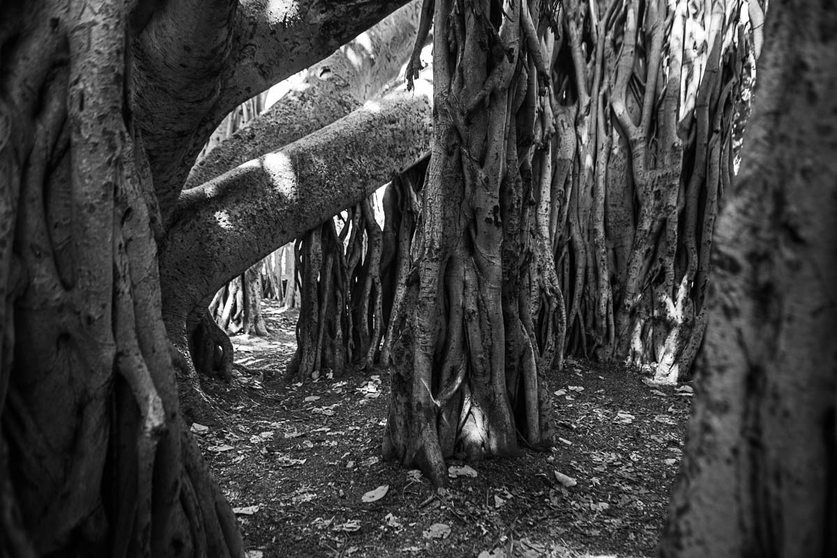 Brisbane Private Photography Workshop