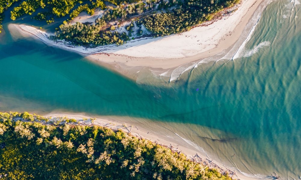 Cape Tribulation, Daintree & Mossman Gorge (includes lunch)