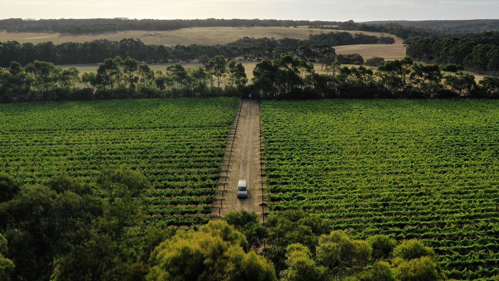The All About Margaret River Tour: Wine, Coffee, Lunch and Forest