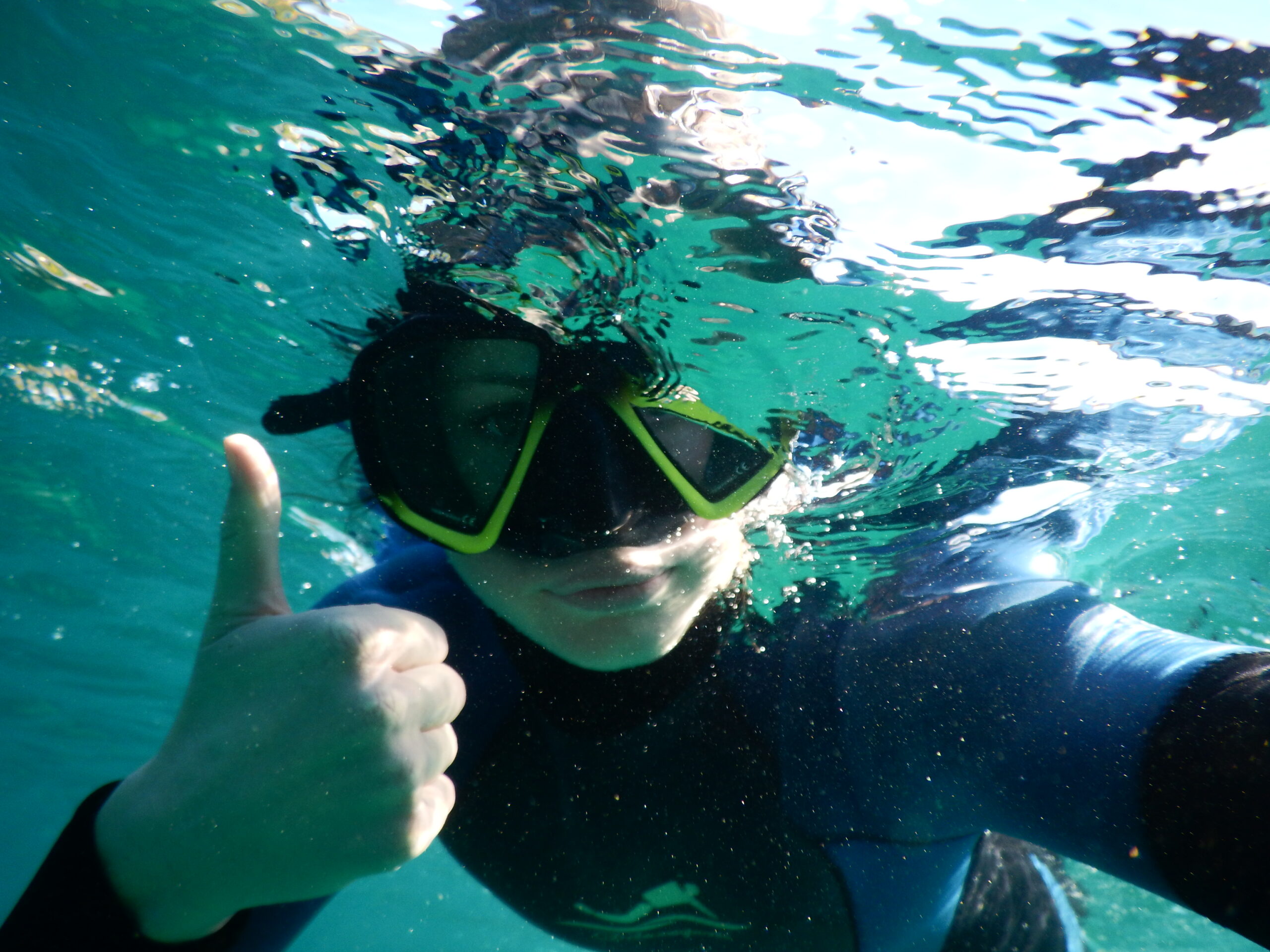 Private Non swimmer Adventure Eco Tour Sydney  5KM/H