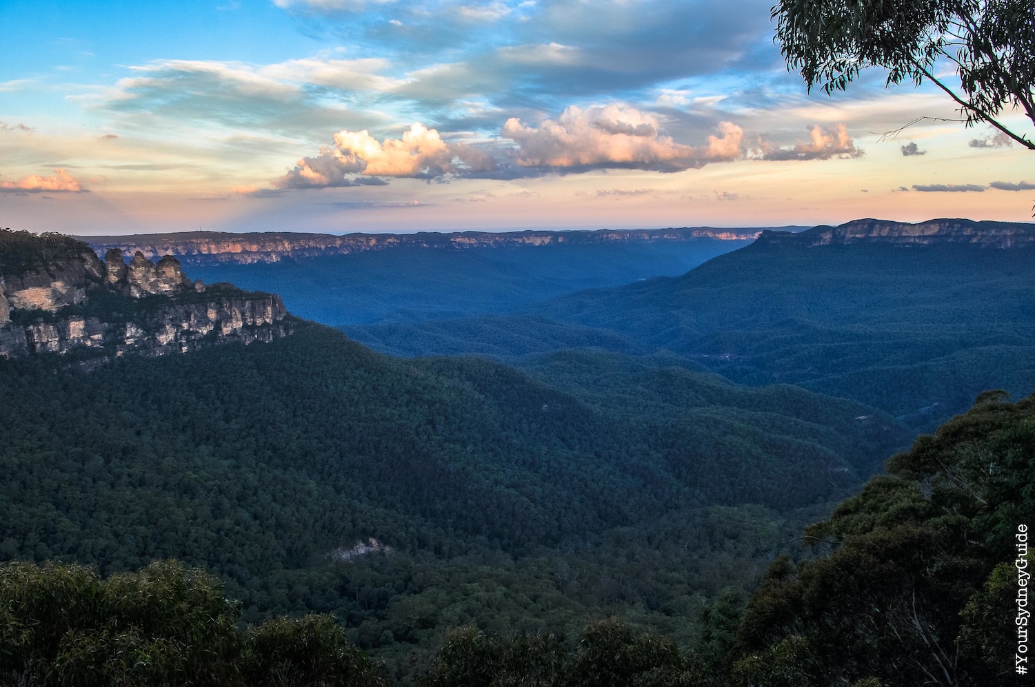 Into the Blue - Blue Mountains Private Full Day Tour