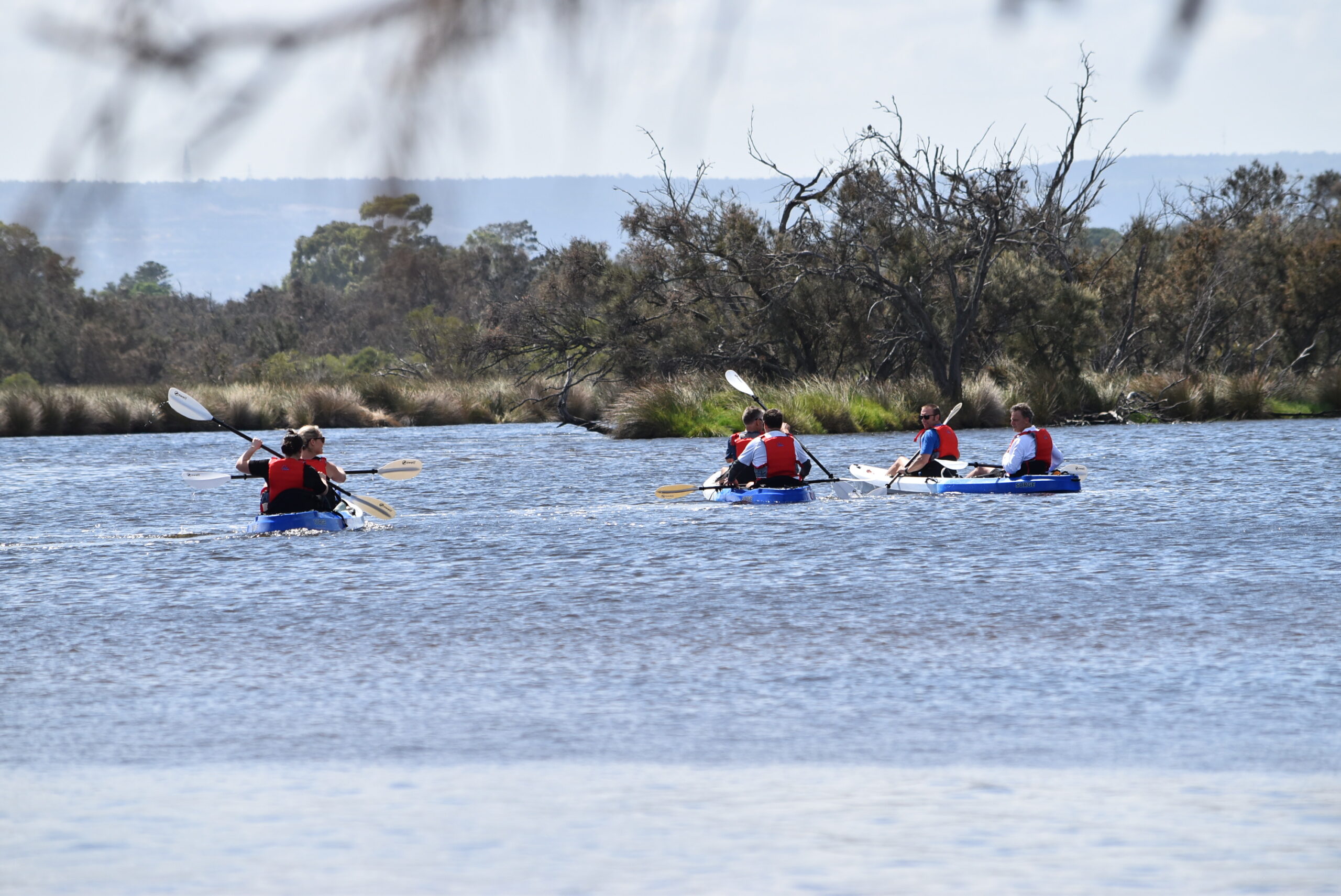 Explore Canning River Wetlands Kayak Tour
