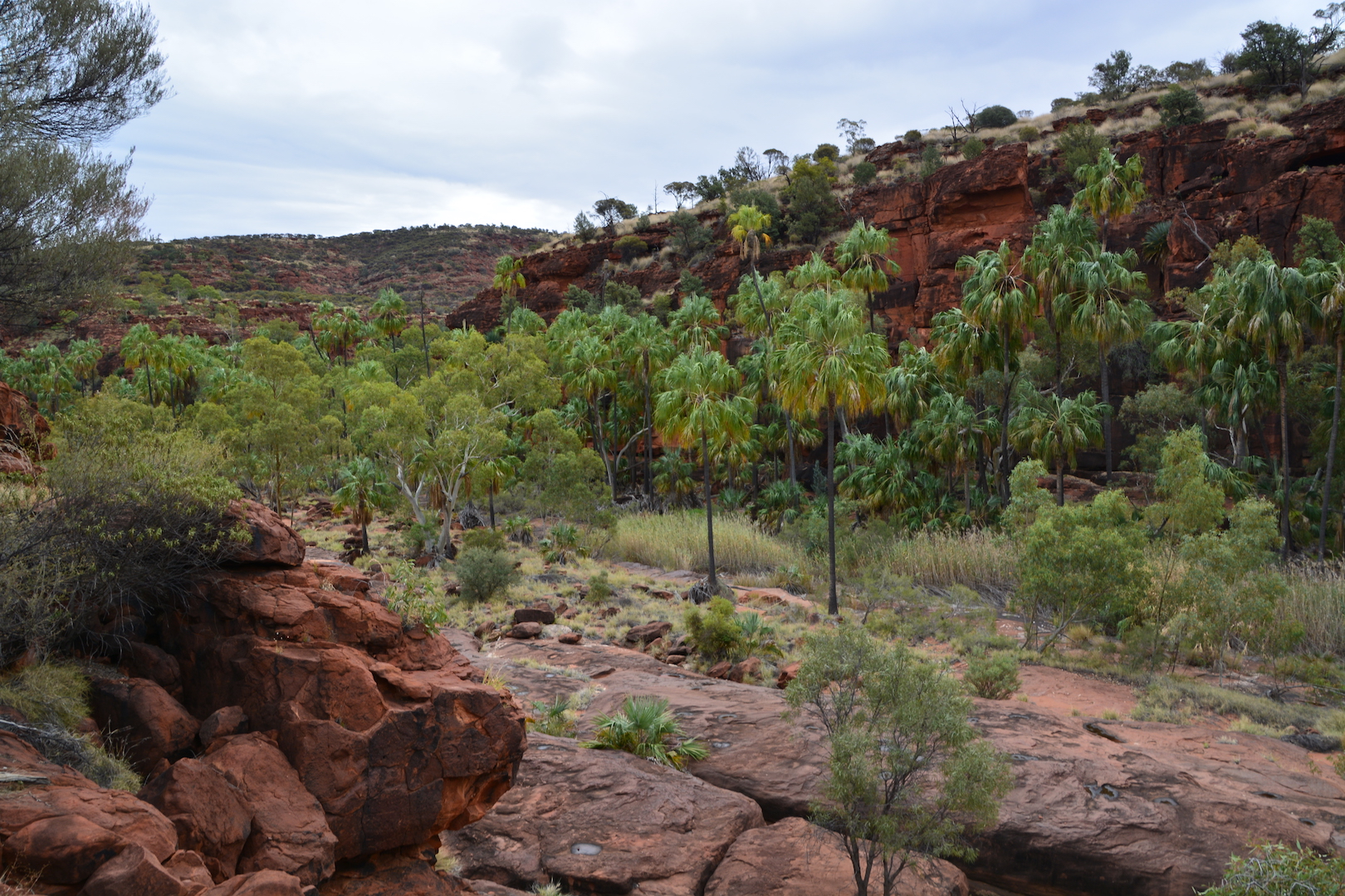 Palm Valley and Hermannsburg 1 Day 4WD Tour