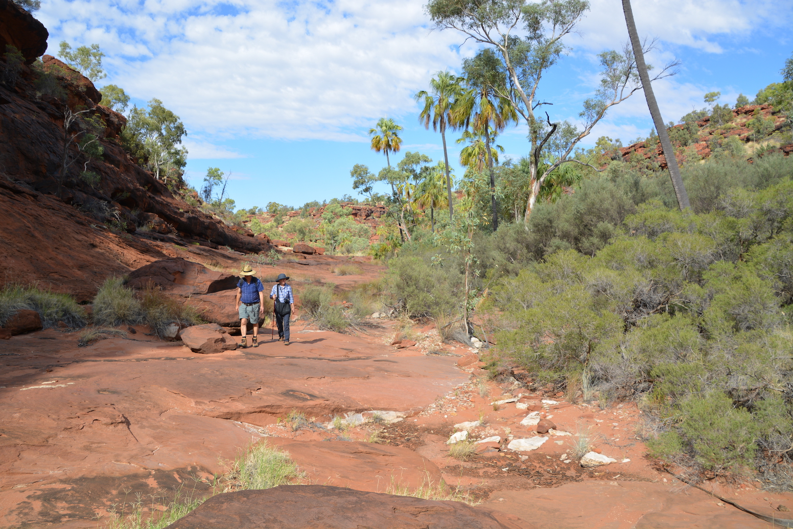 Palm Valley and Hermannsburg 1 Day 4WD Tour