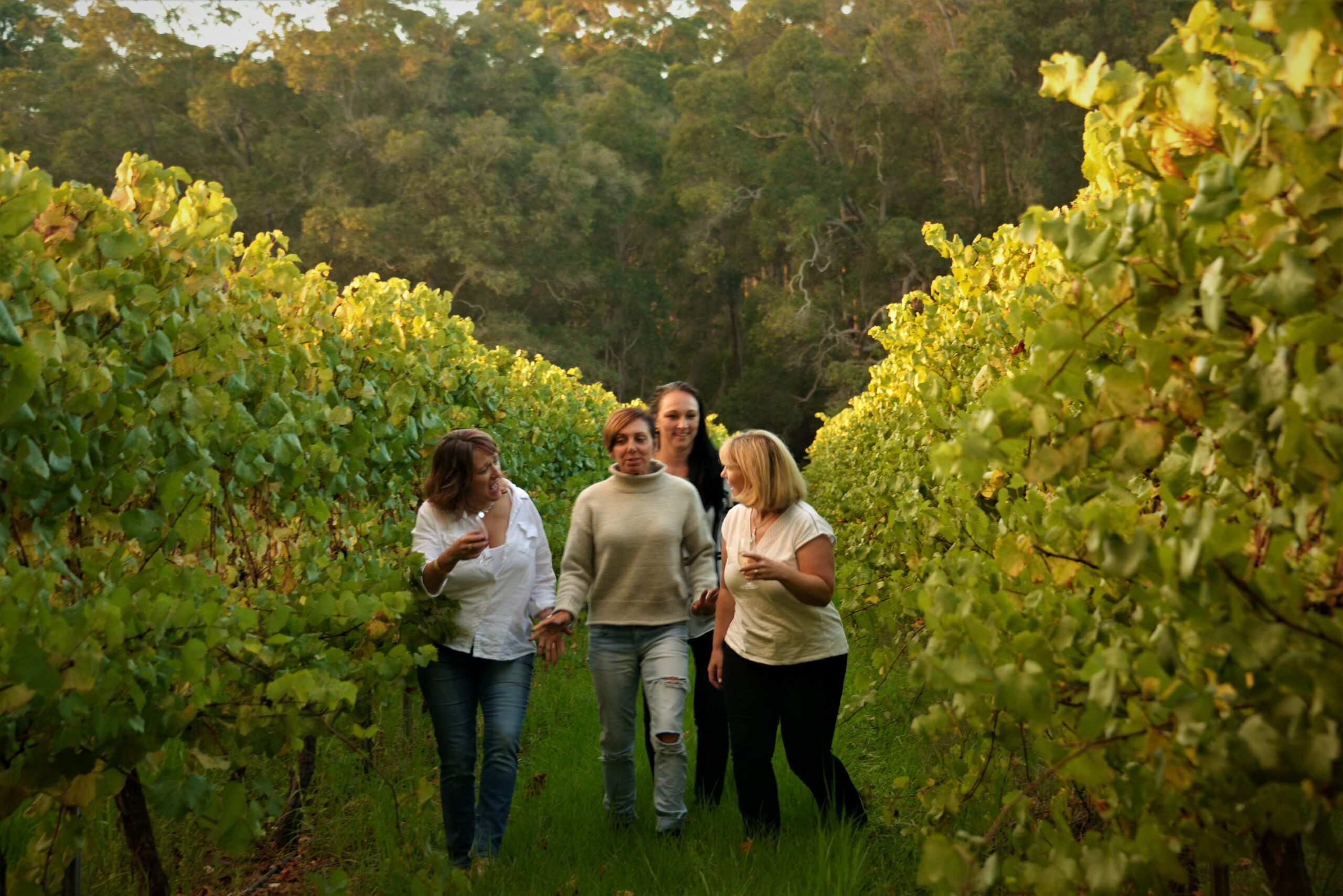 Pemberton Wine Discovery Tour