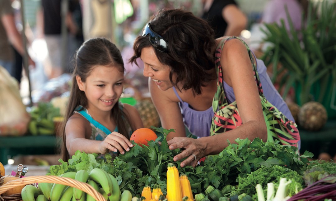 Eumundi Markets Return Transfer