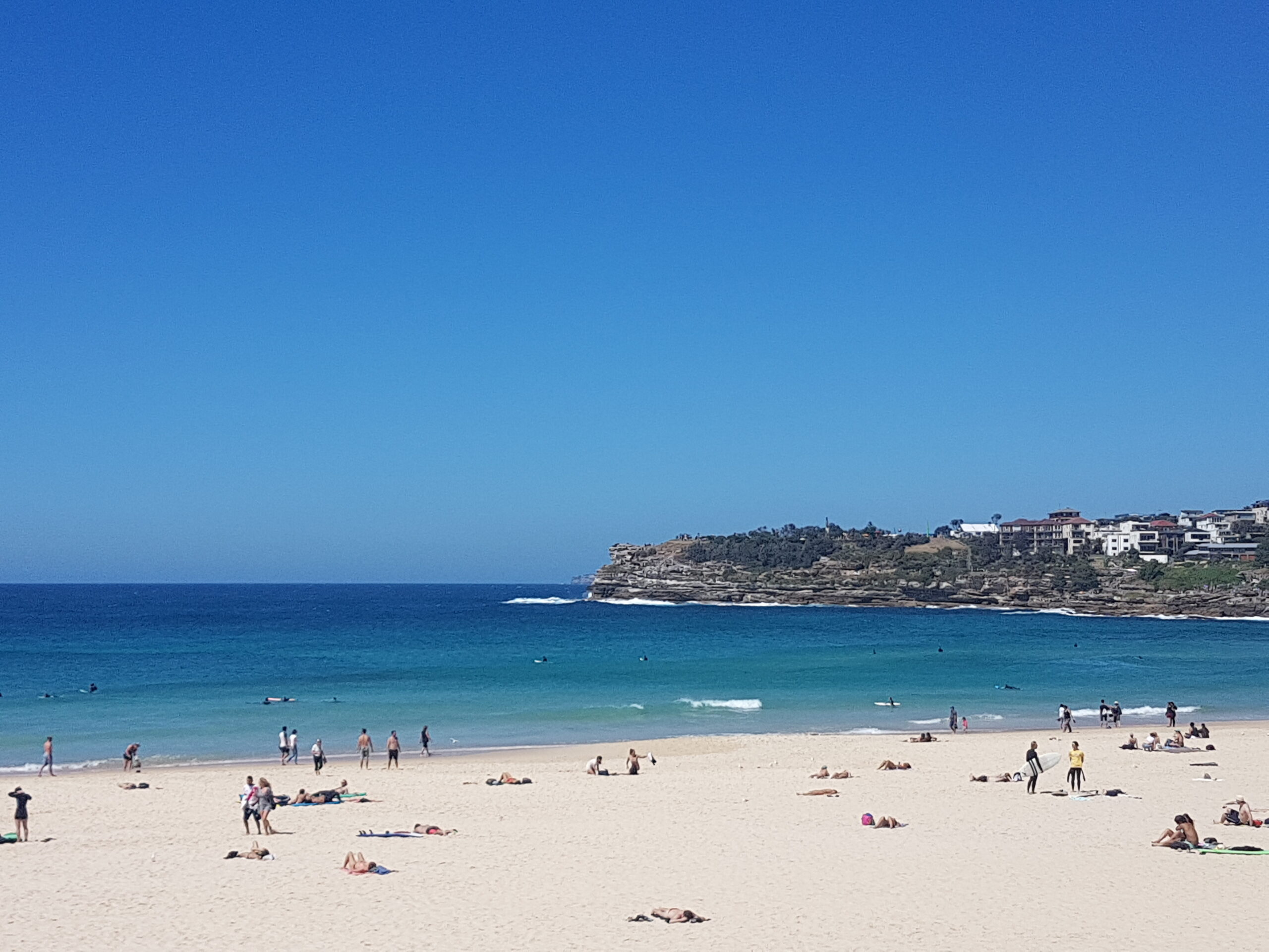 SYDNEY SAMPLER with BONDI BEACH Half Day Tour