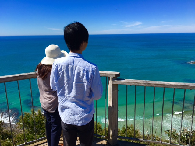 The Great Ocean Road and 12 Apostles Tour