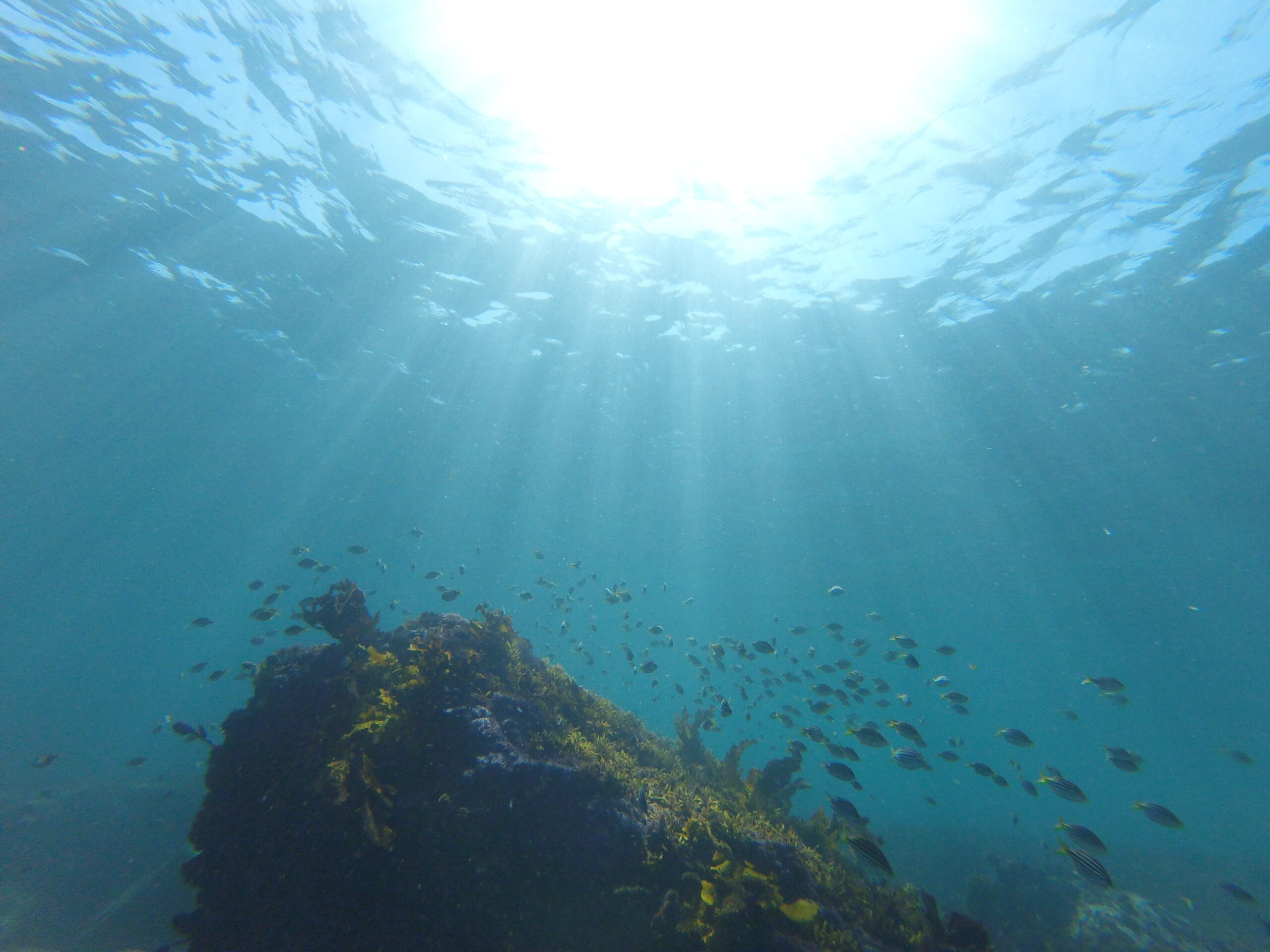Under Water Scooter Tour 5KM/H