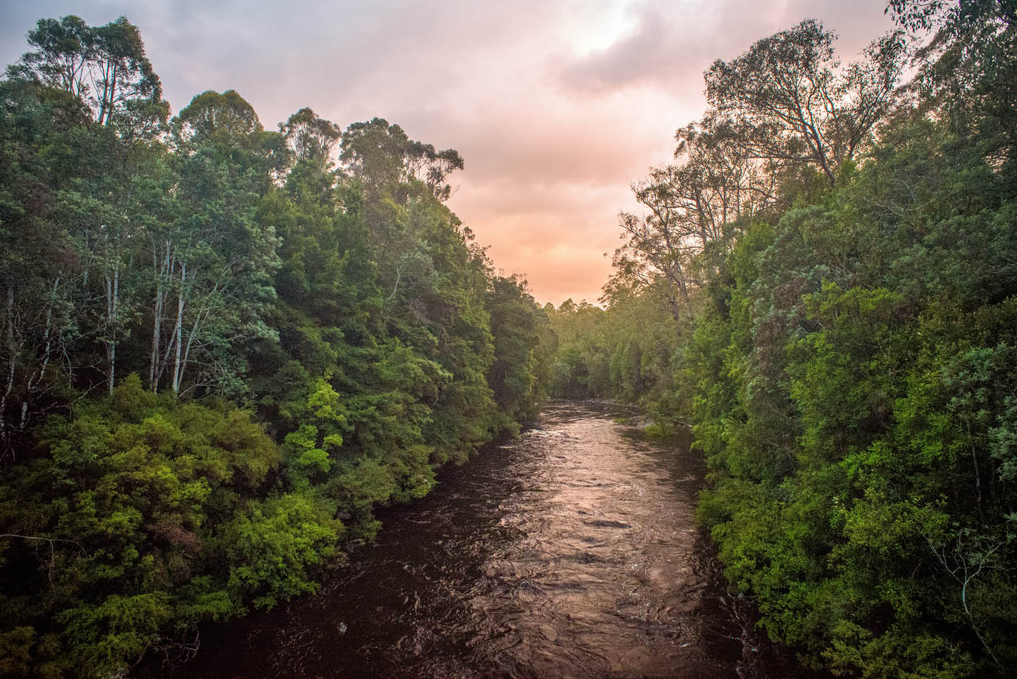 Franklin River Rafting & Frenchman's Cap 11-day Expedition