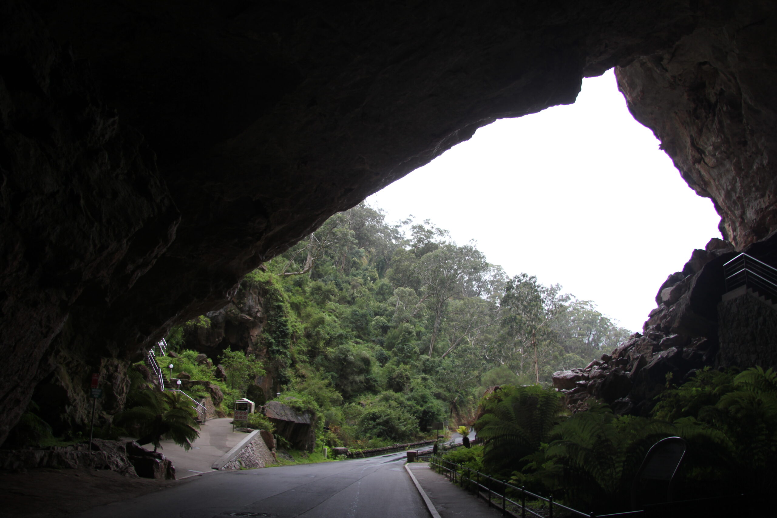 Jenolan Caves, Blue Mountains, Mudgee Hunter Valley & Nelson Bay Wine & Wildlife 4 days Sydney to Outback NSW Tour