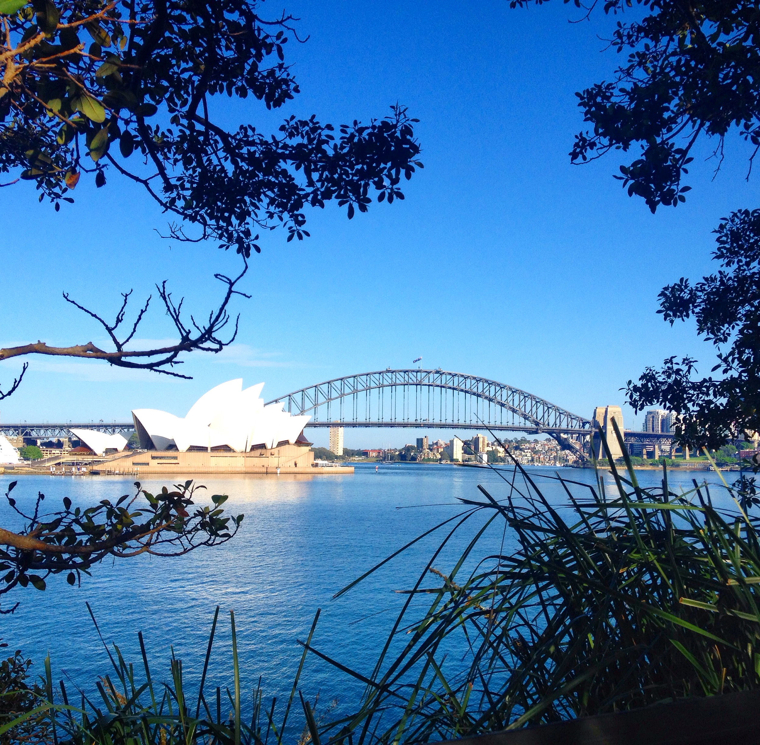 SYDNEY SAMPLER with BONDI BEACH Half Day Tour