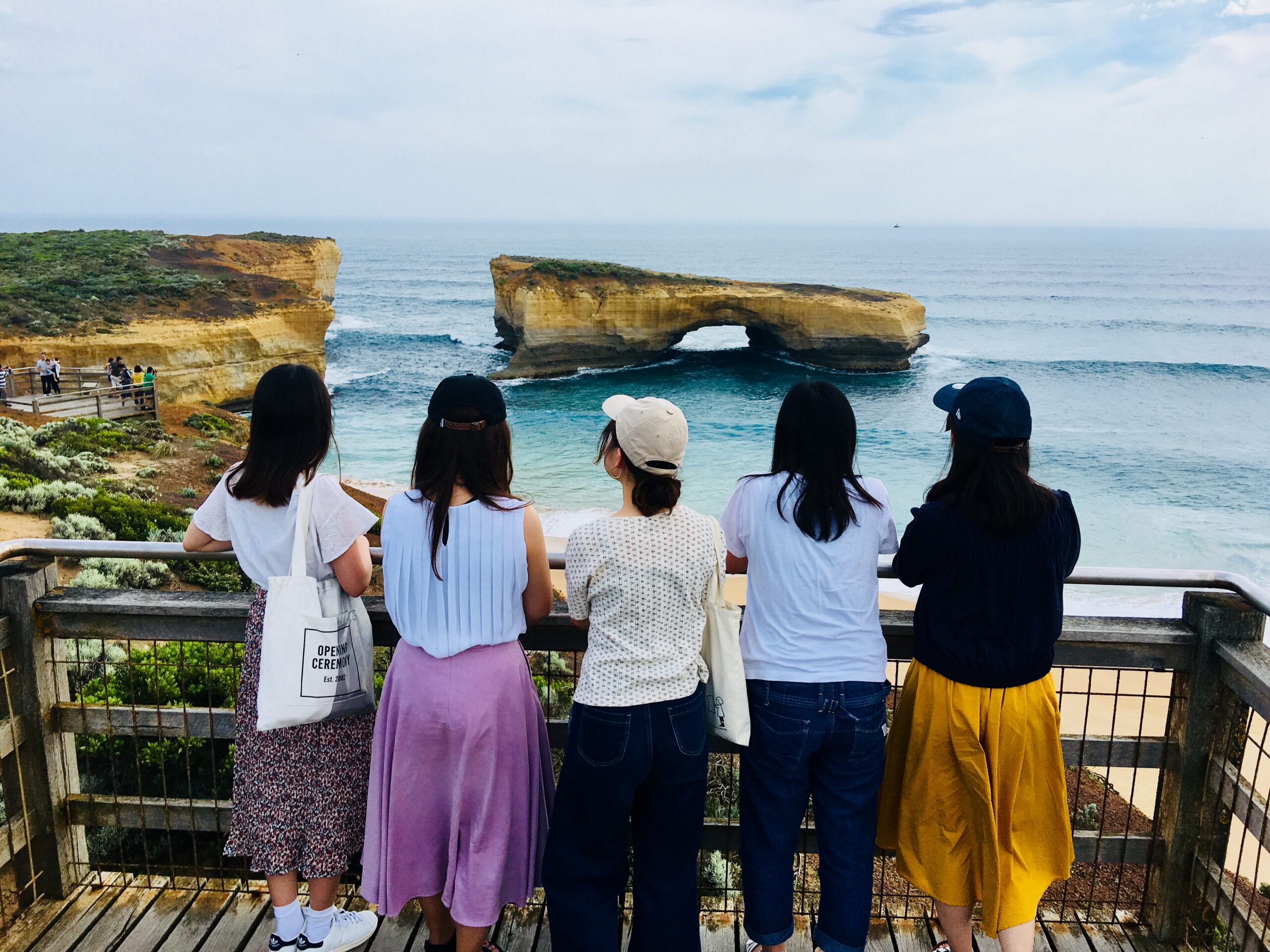 The Great Ocean Road and 12 Apostles Tour