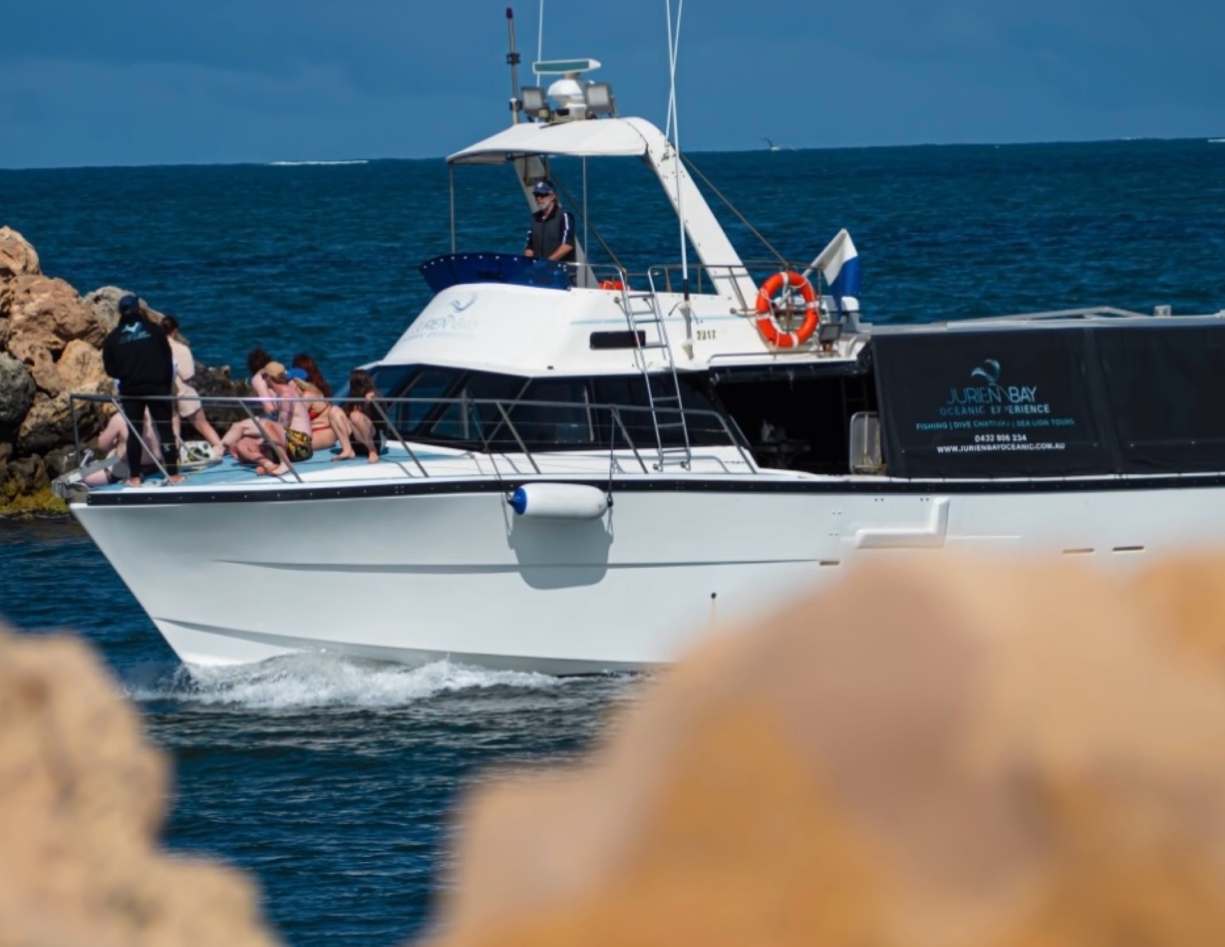 Sea Lion Interaction Tour