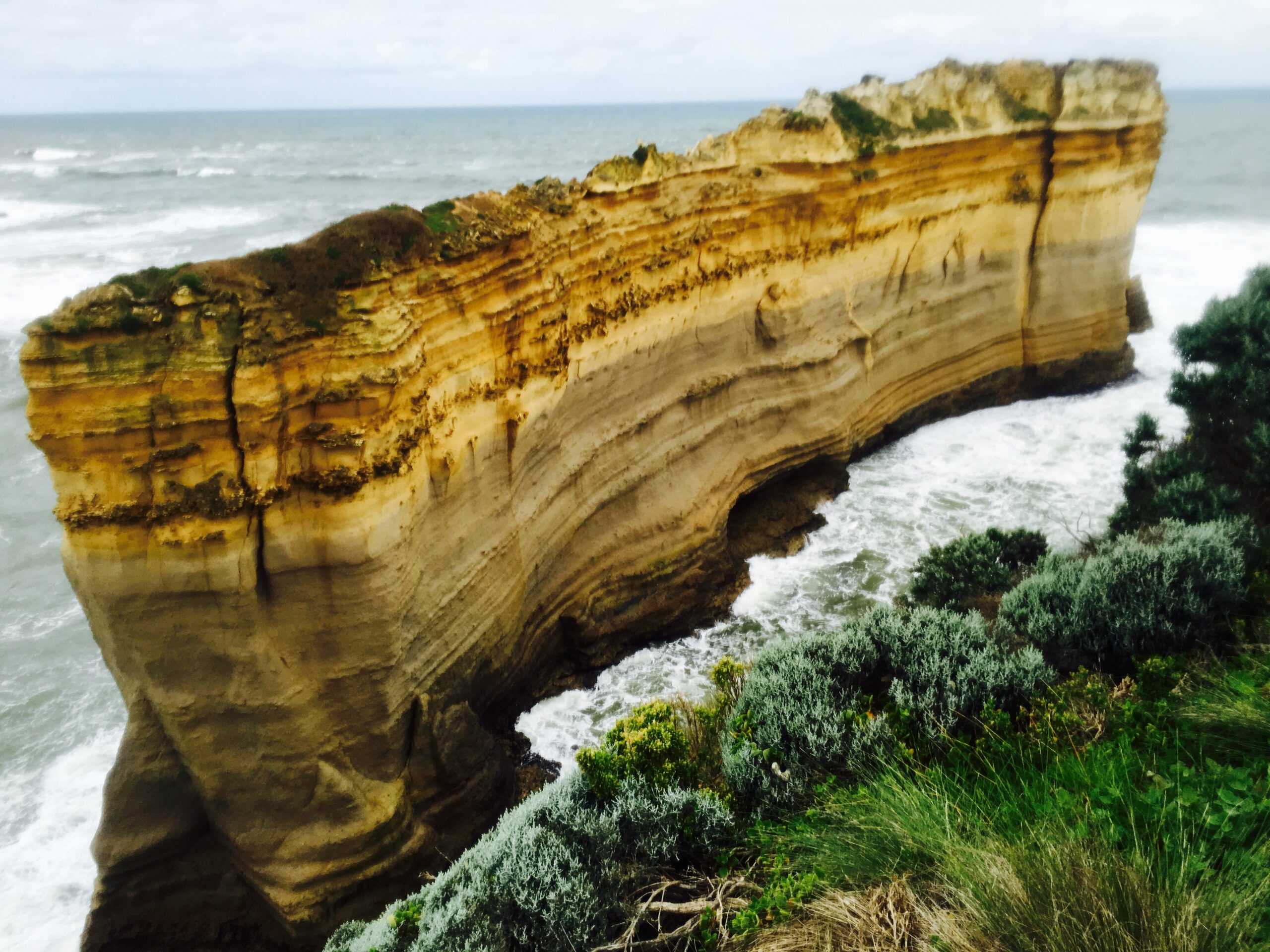 The Great Ocean Road and 12 Apostles Tour