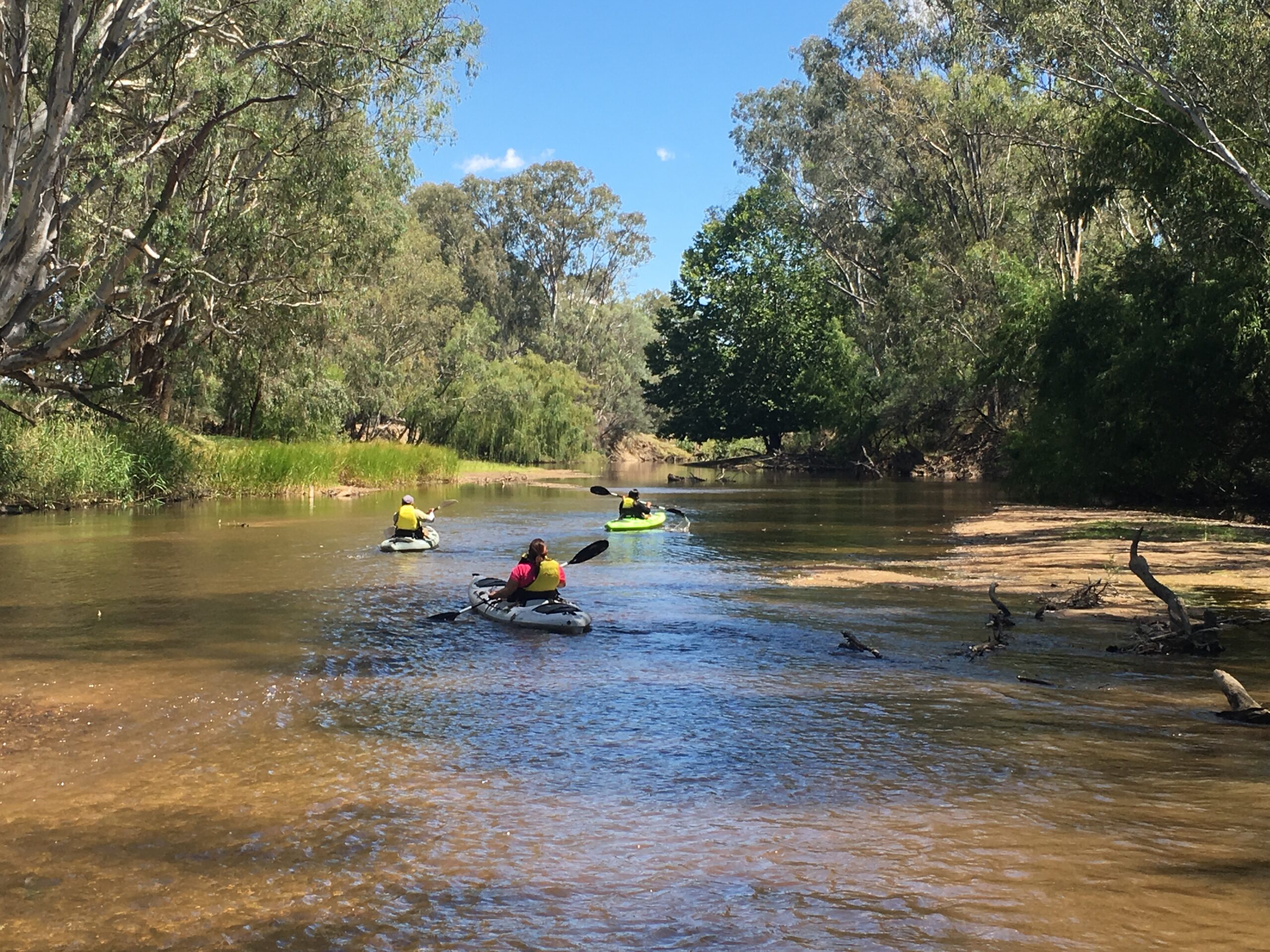 Kayak Overnight – Build your own adventure on the Ovens River – Self Guided