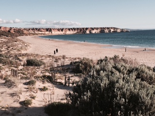 FULL DAY PRIVATE TOUR OF MCLAREN VALE