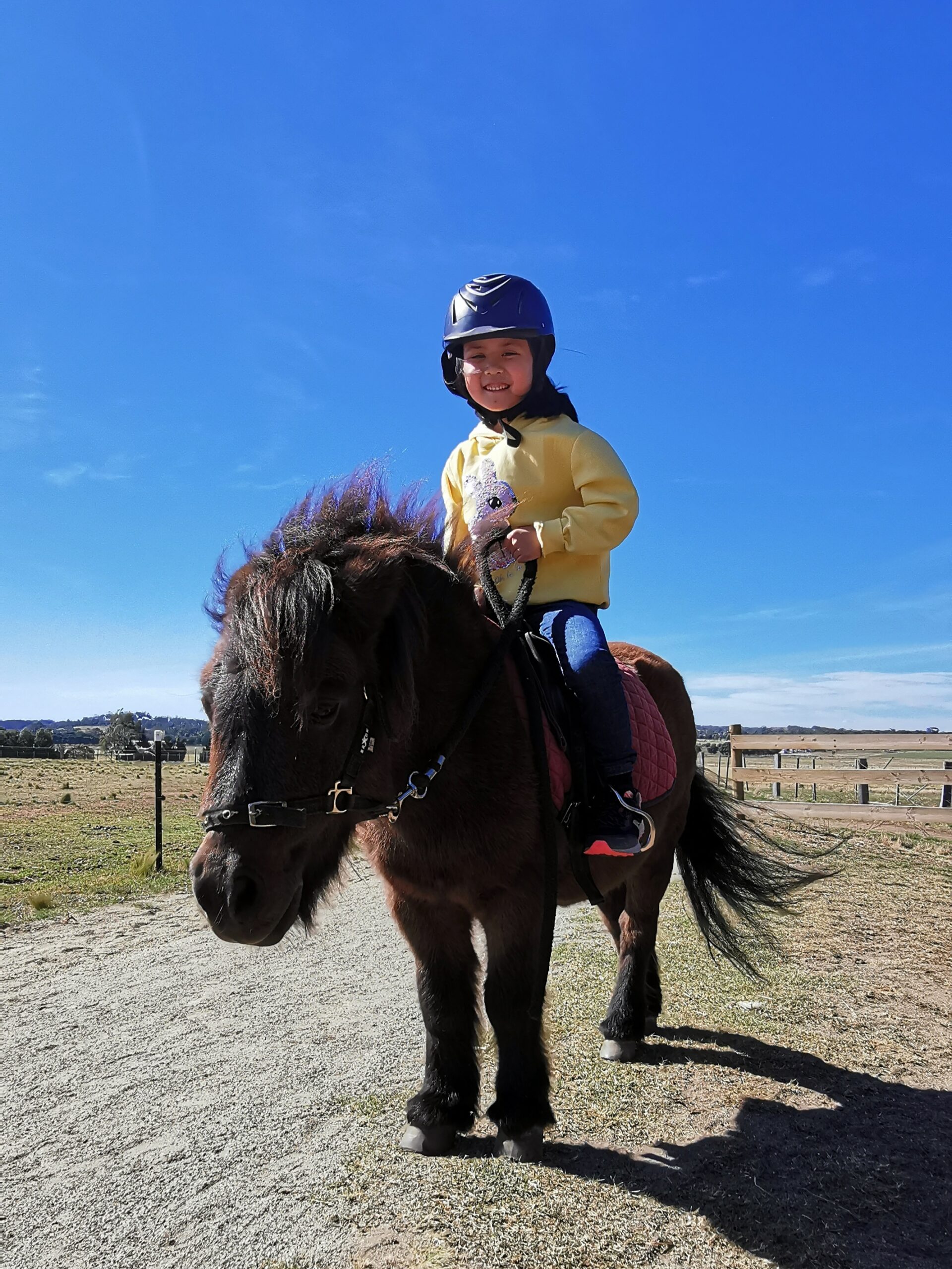 Pony Ride - 30 Minutes - Woodlands Lodge