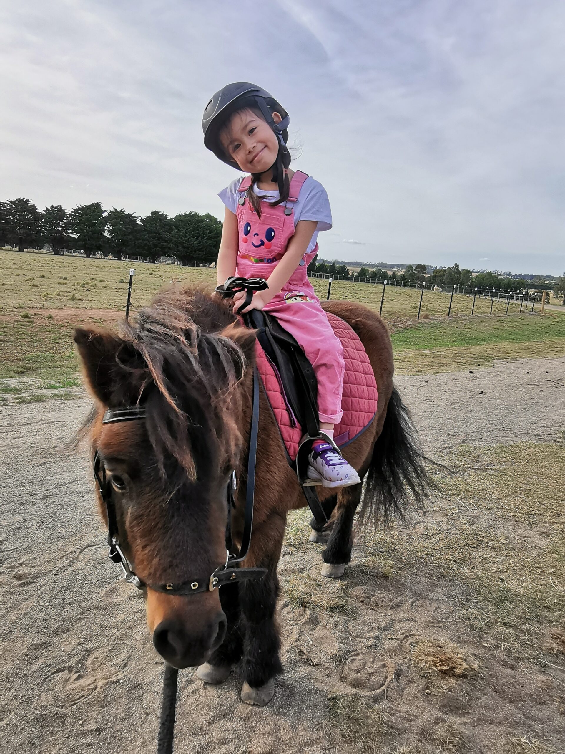 Pony Ride – 30 Minutes – Woodlands Lodge