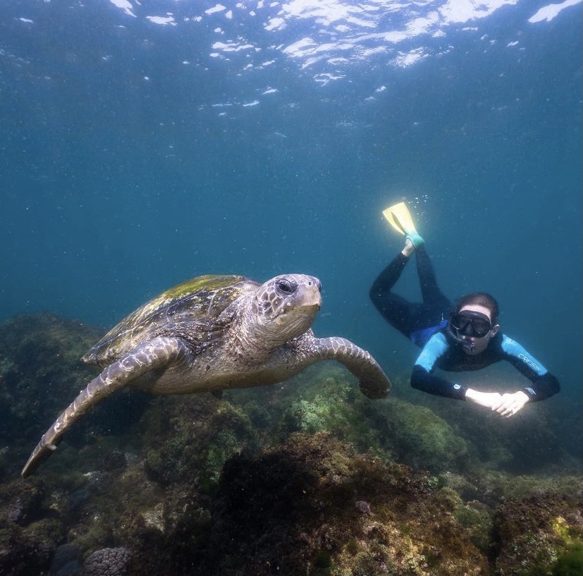 SNORKEL WITH THE TURTLES!