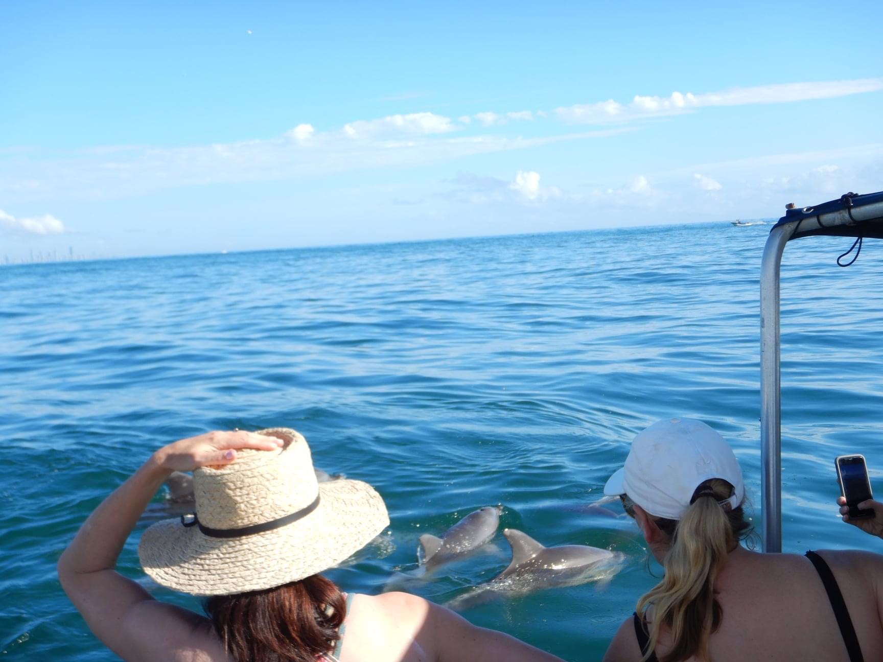 SNORKEL WITH THE TURTLES!