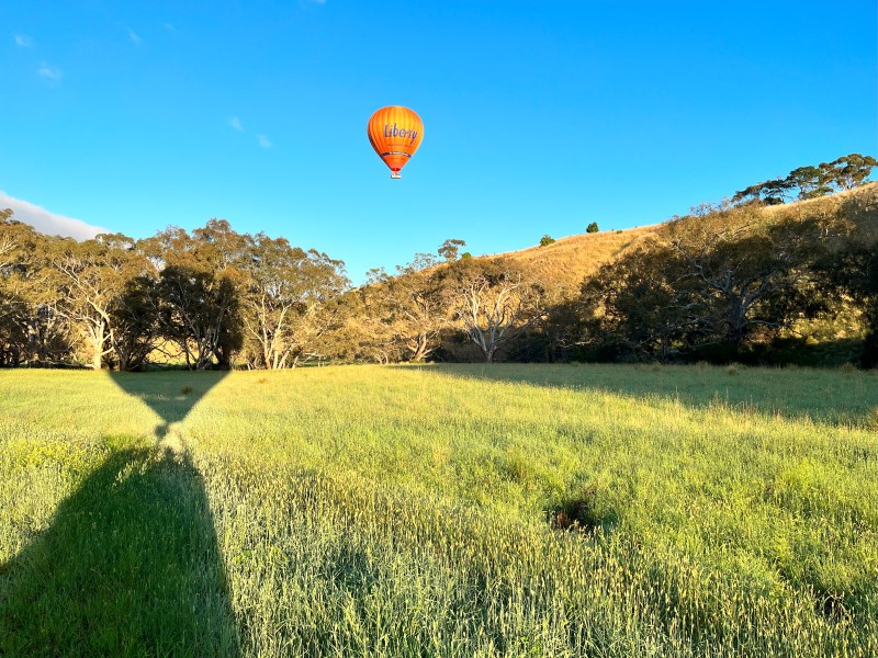 The Great Ocean Flight - Geelong and Bellarine - Includes Breakfast