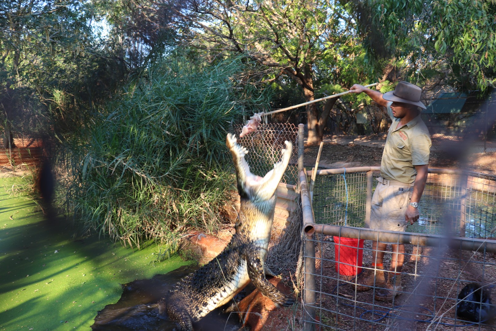 Broome and Around SPECIAL :  Broome 3 in 1 Iconic Tour - Matso's, 12 Mile Bird Park, Malcolm Douglas Crocodile Feeding Tour