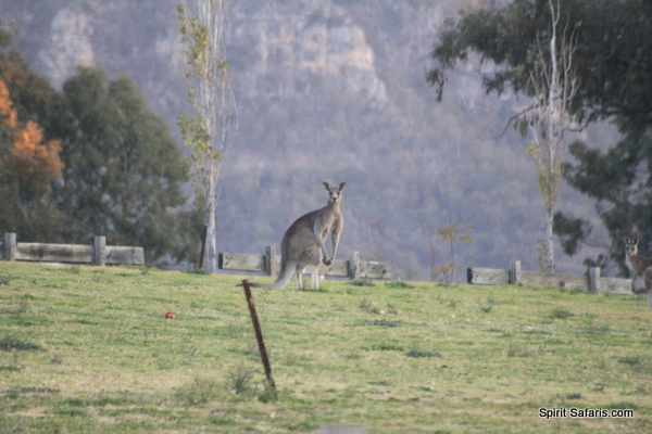 Lightning Ridge Opals Blue Mountains Hunter Valley Outback NSW Tour 3 days