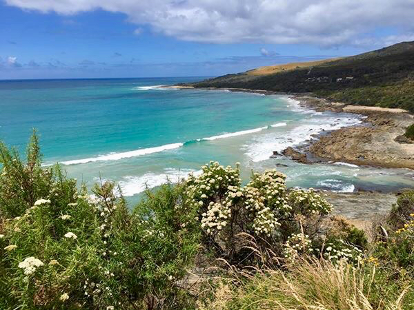 The Great Ocean Road and 12 Apostles Tour