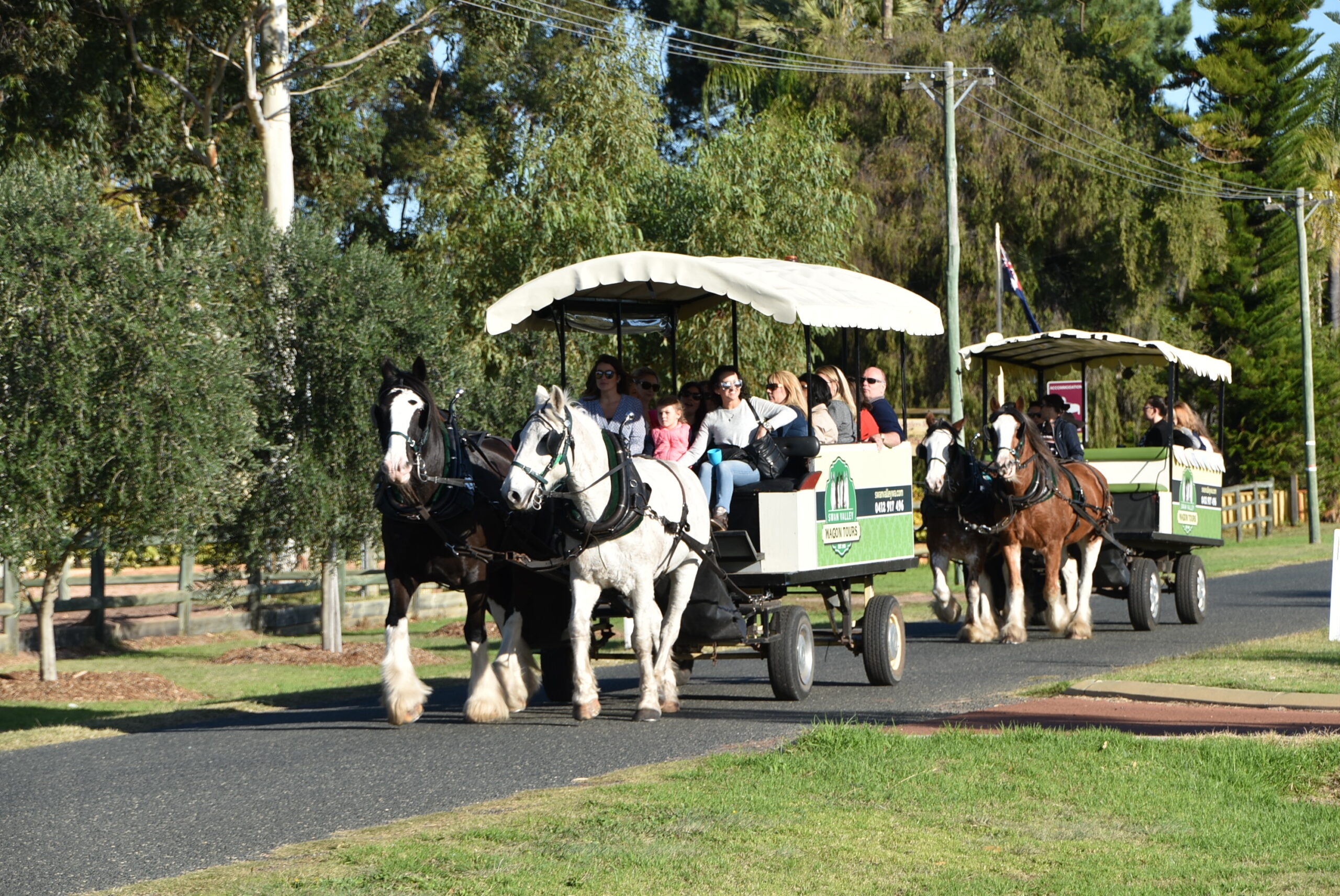 Group Booking - Wagon Deluxe - Horse Drawn Wagon Tour