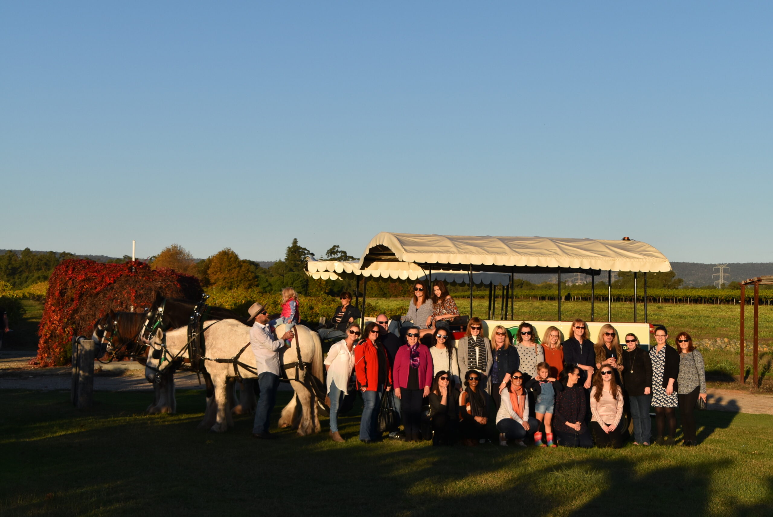 Group Booking - Wagon Deluxe - Horse Drawn Wagon Tour