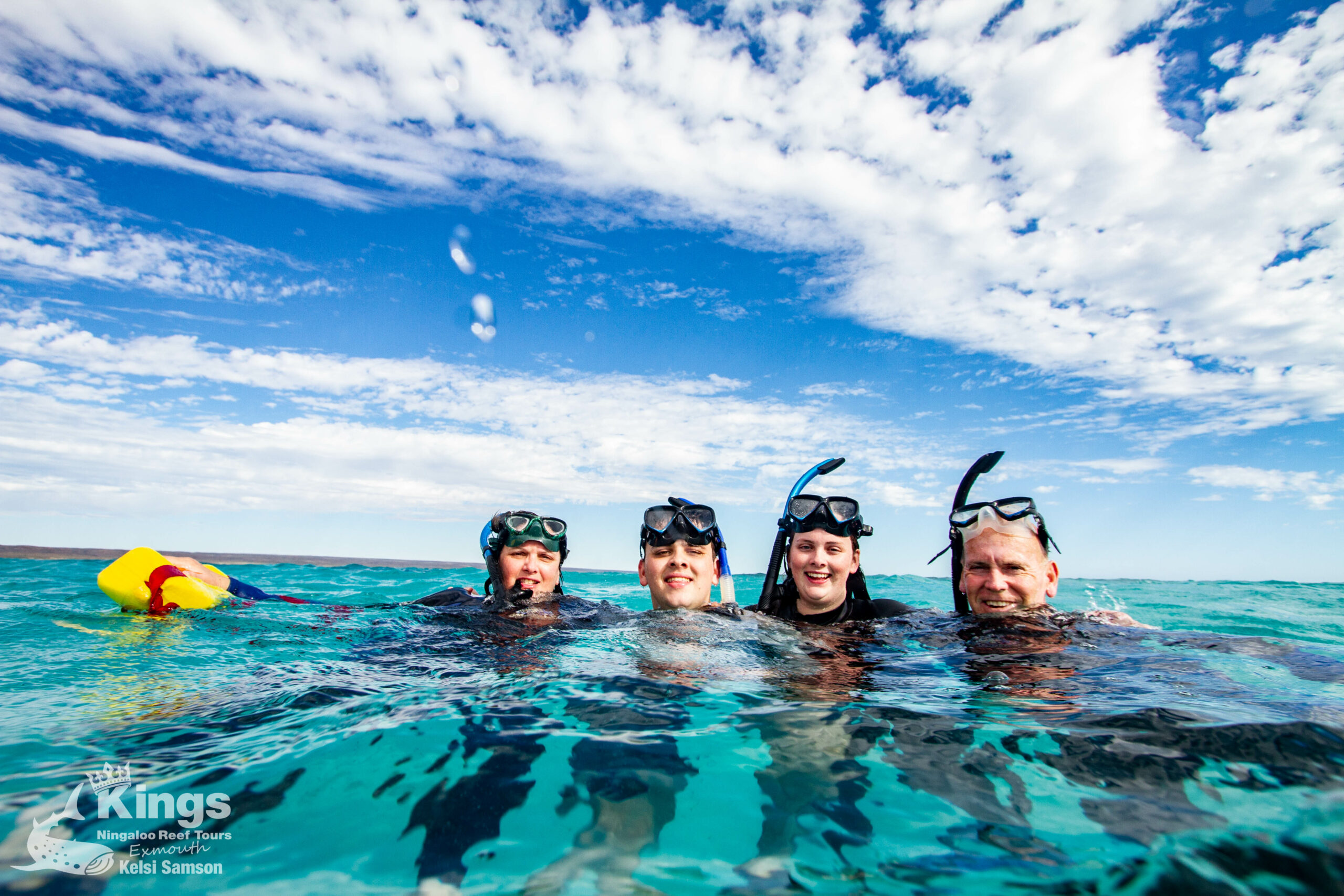 Whale Shark/Humpback/Eco Sea Life Tour (AUG-SEPT)