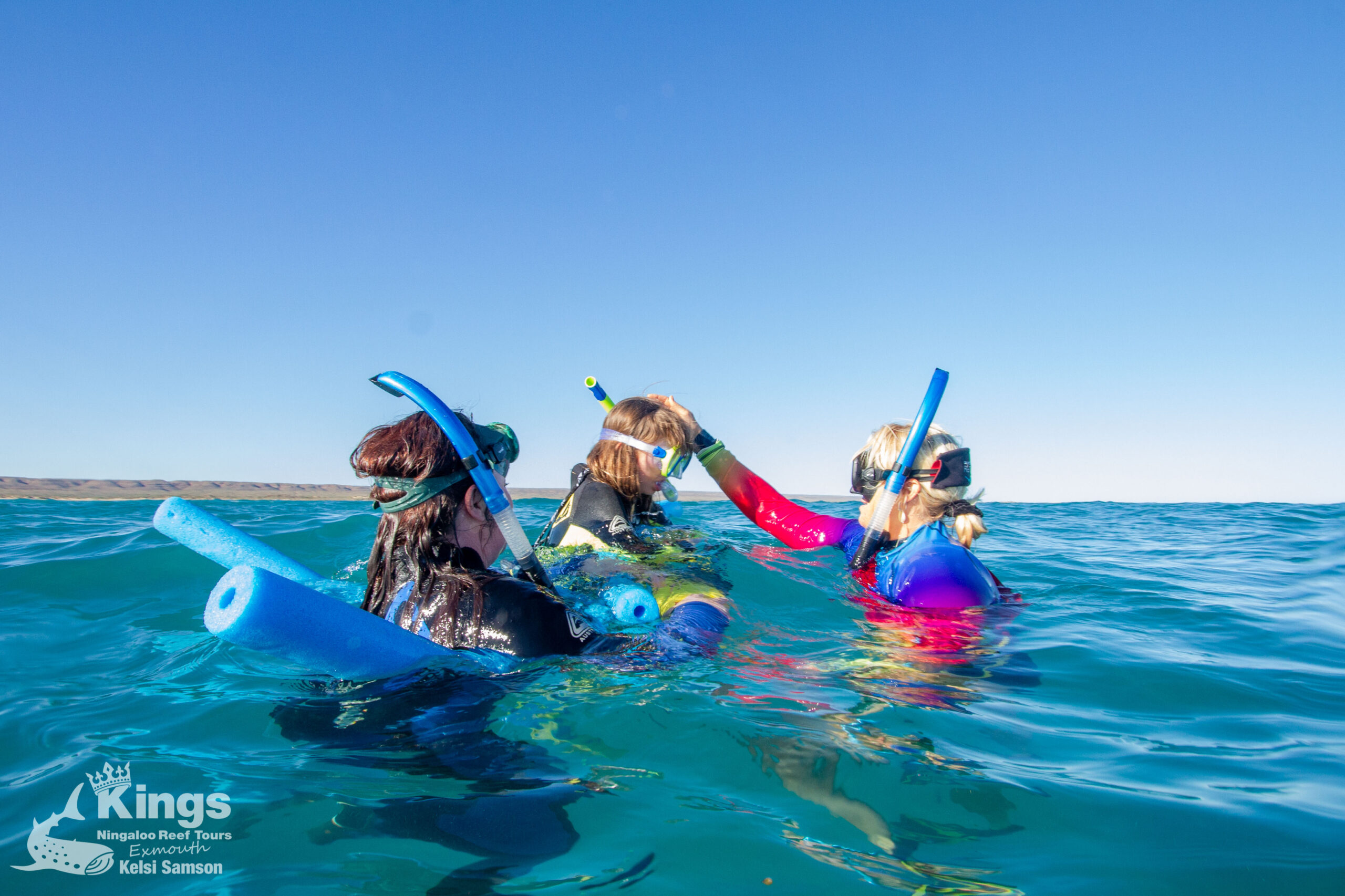 Whale Shark/Humpback/Eco Sea Life Tour (AUG-SEPT)