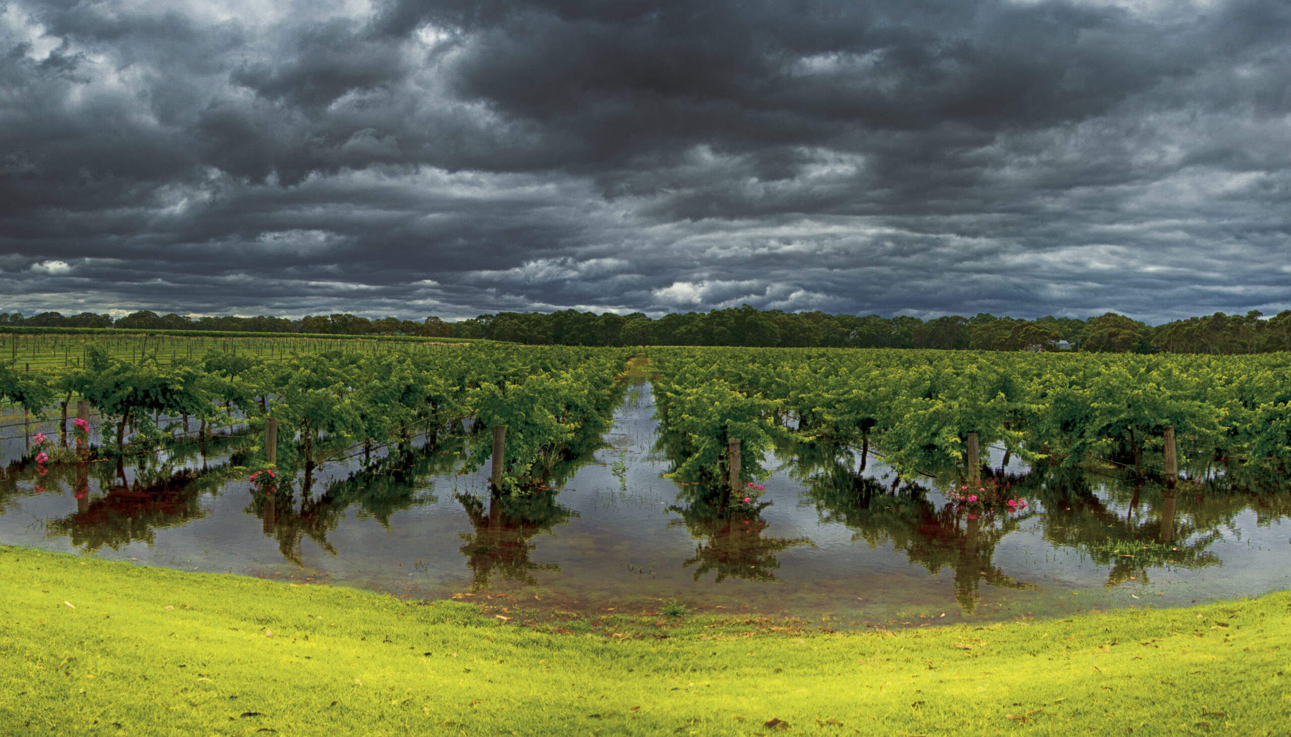 Langhorne Creek Crossing