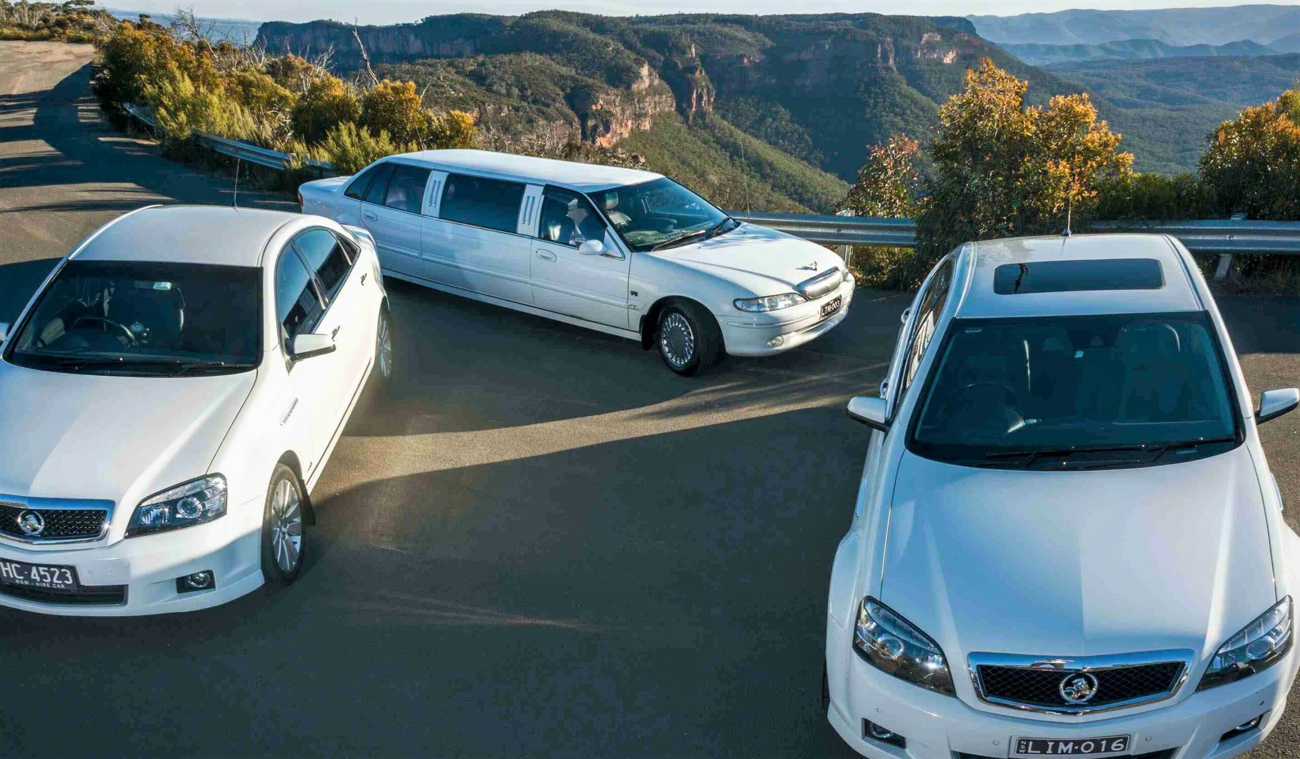 Blue Mountains to  Sydney City  / Airport / Cruise Terminal Transfer with Chauffeur & Meet and Greet Standard Limousine 4 pax