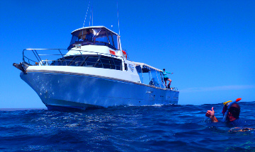 Ningaloo Reef Double Dive Tour