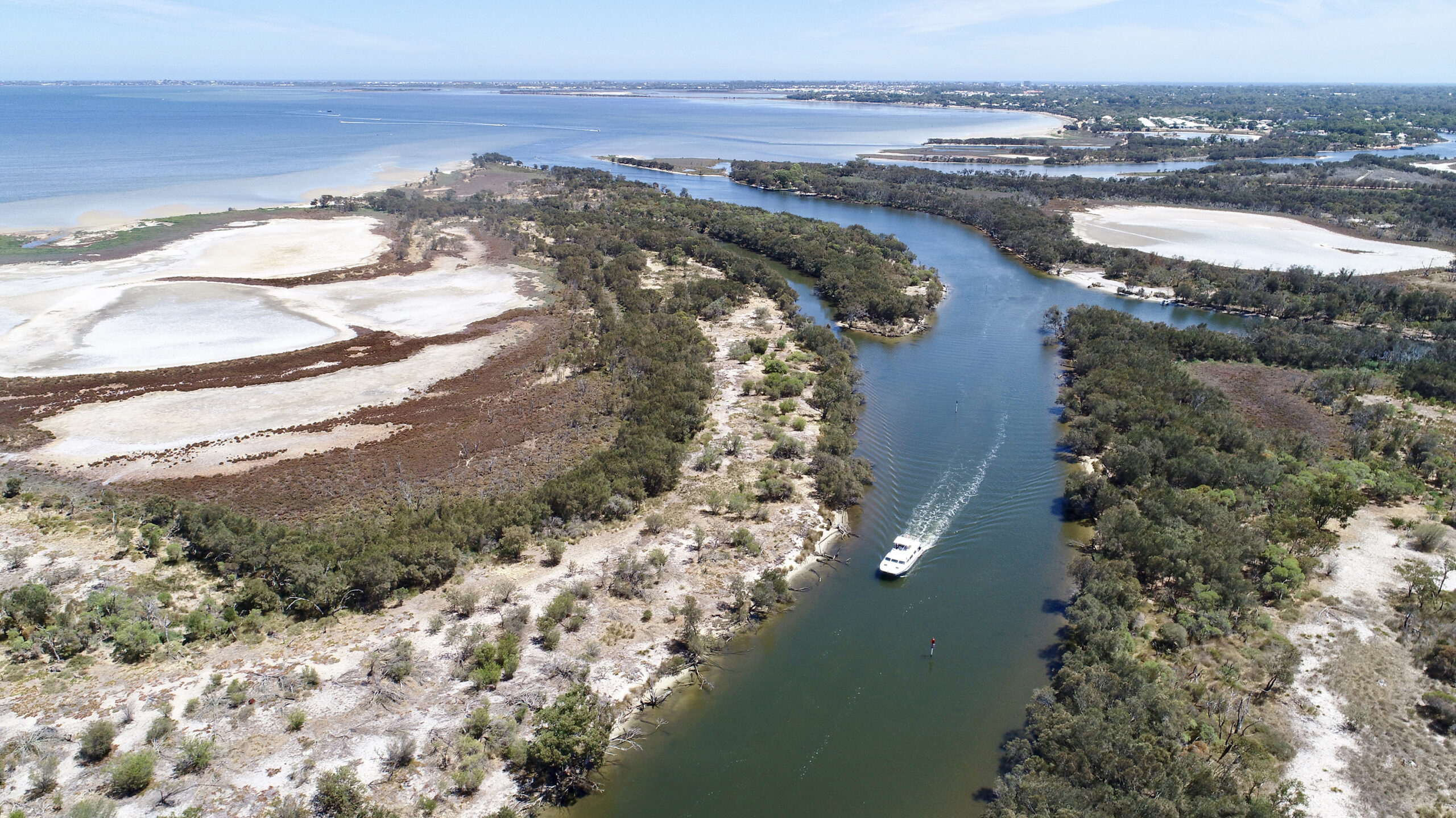 Murray River Lunch Cruise