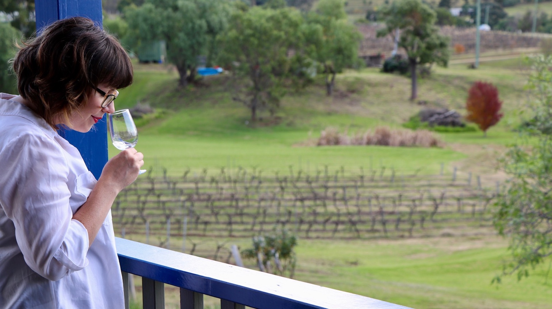 Private Boutique Hunter Valley Winery Tour Full Day 4-7 people includes Two Course Delicious Lunch
