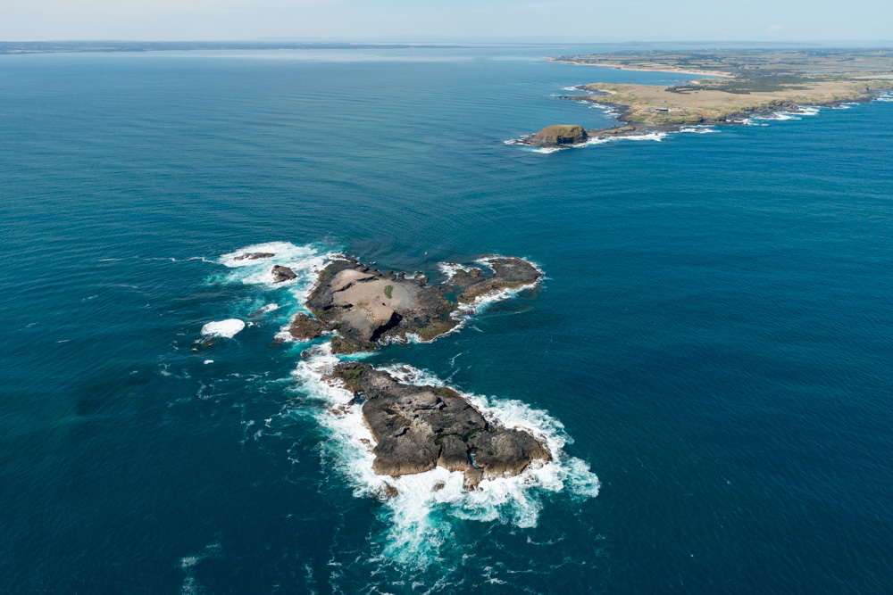 Scenic Flight 3 – Seal Rocks, Penguins & The GP Circuit