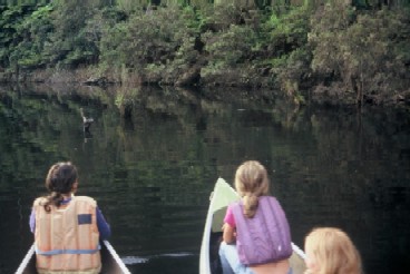 Platypus Two Day Great Ocean Road Tour