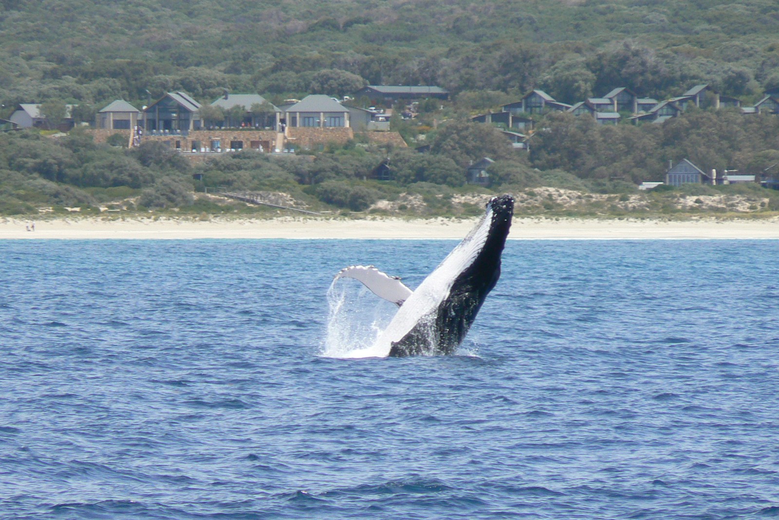 3-day Busselton, Margaret River, & Jarrahdale private tour