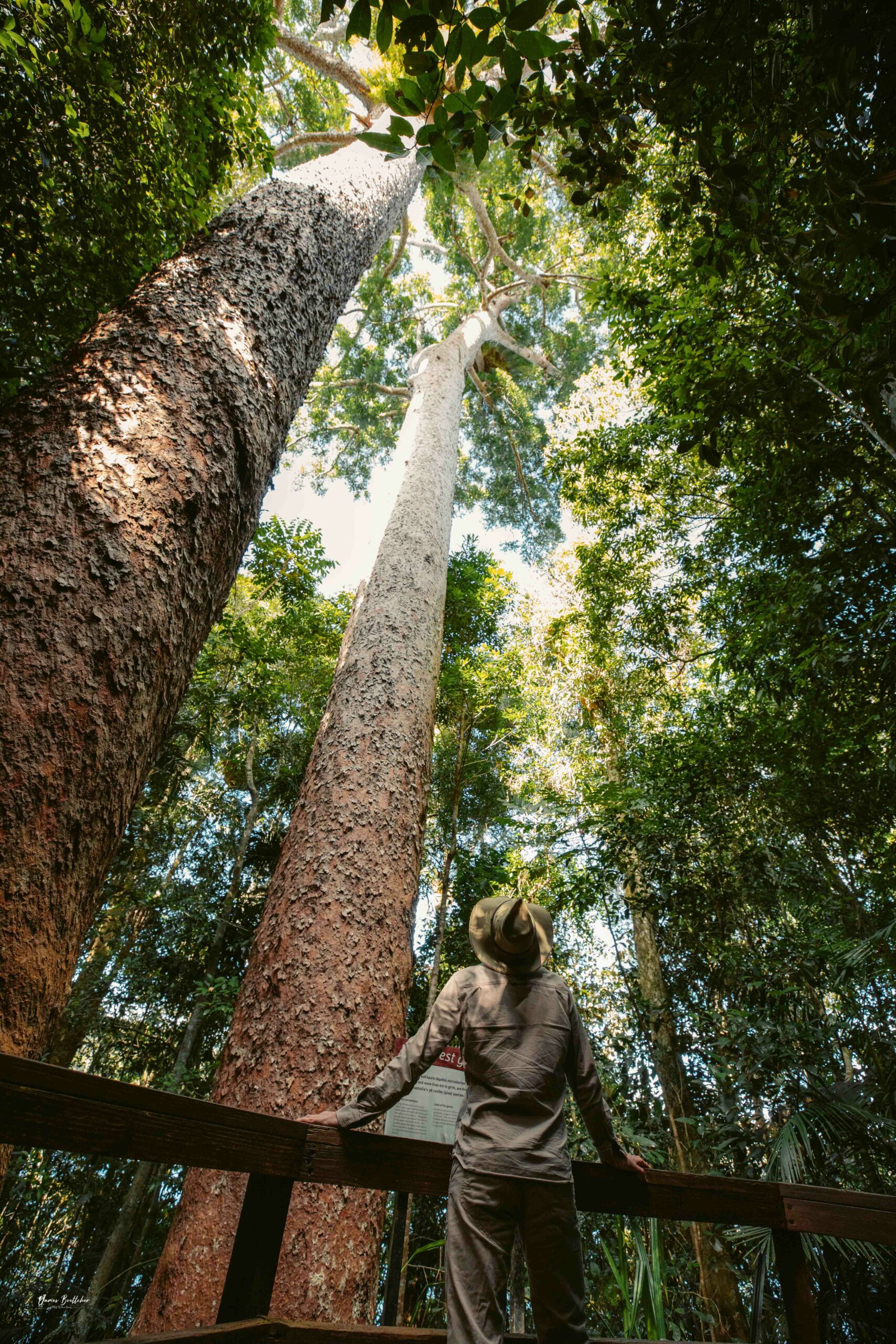 Private Atherton Tablelands  Nature and Wildlife Tour
