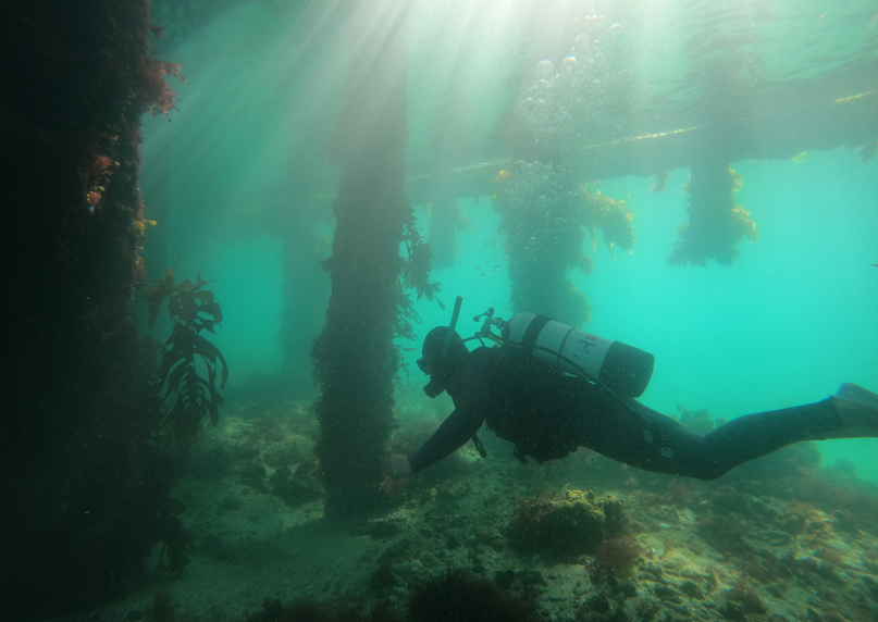 Discover SCUBA Dive