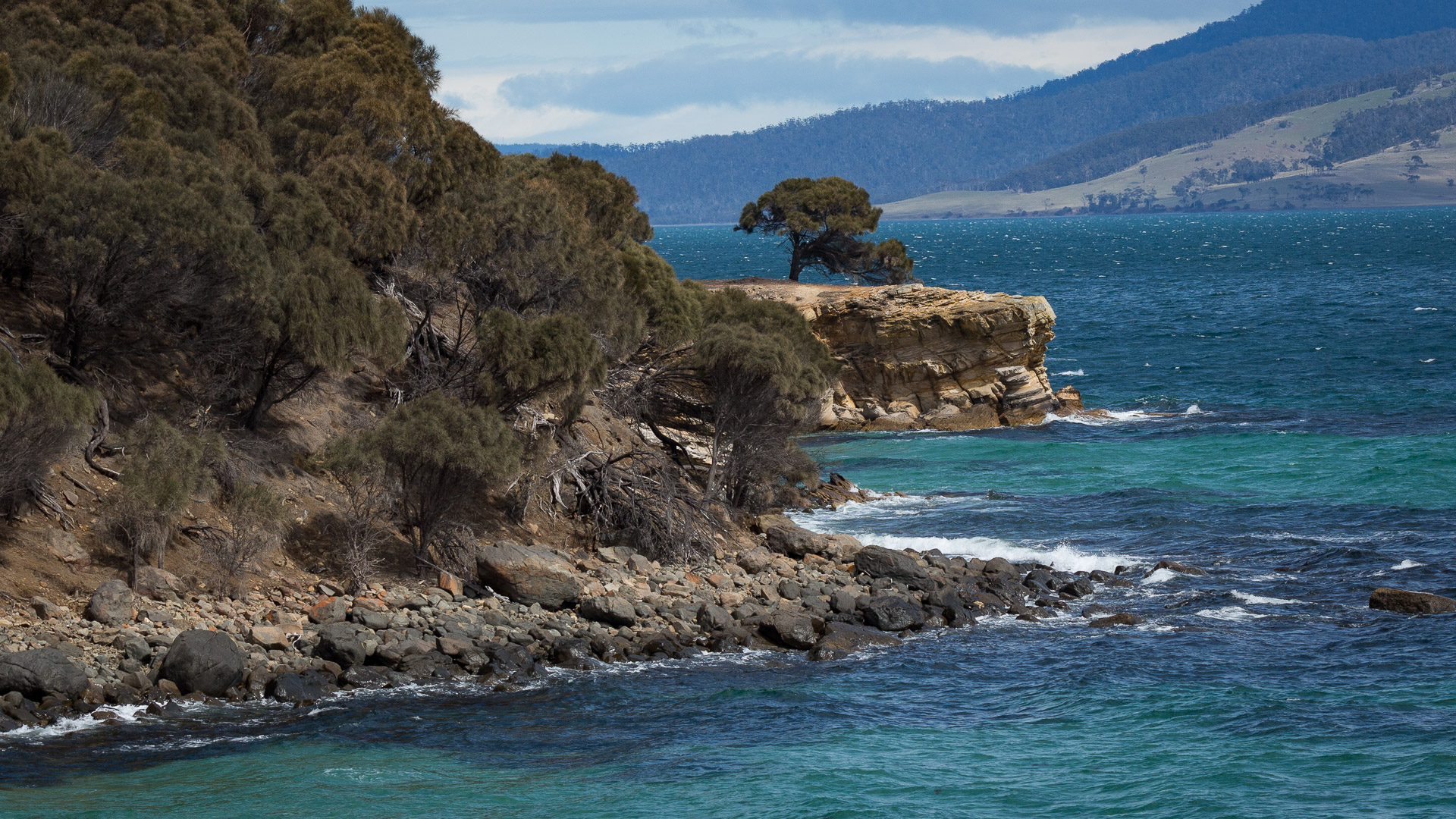 Maria Island - private photo-oriented day tour from Hobart